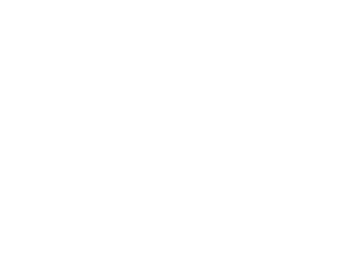 Vote (1)-1